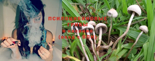 гидра Россошь