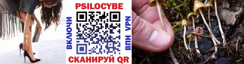 Галлюциногенные грибы мицелий Строитель