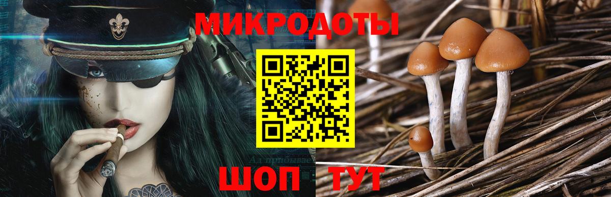 Галлюциногенные грибы Psilocybine cubensis Строитель