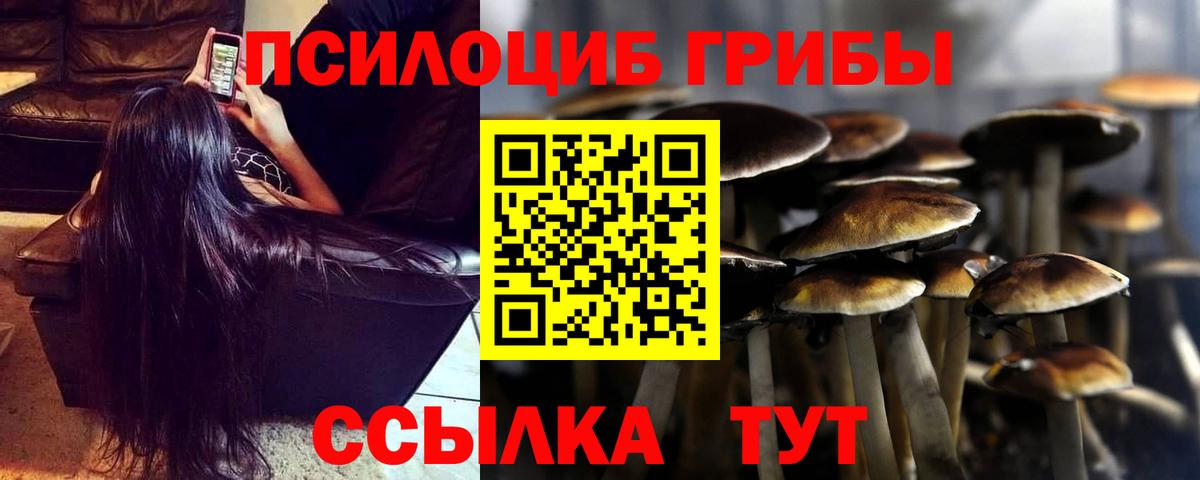 Строитель  Псилоцибиновые грибы GOLDEN TEACHER  Вход с VPN 