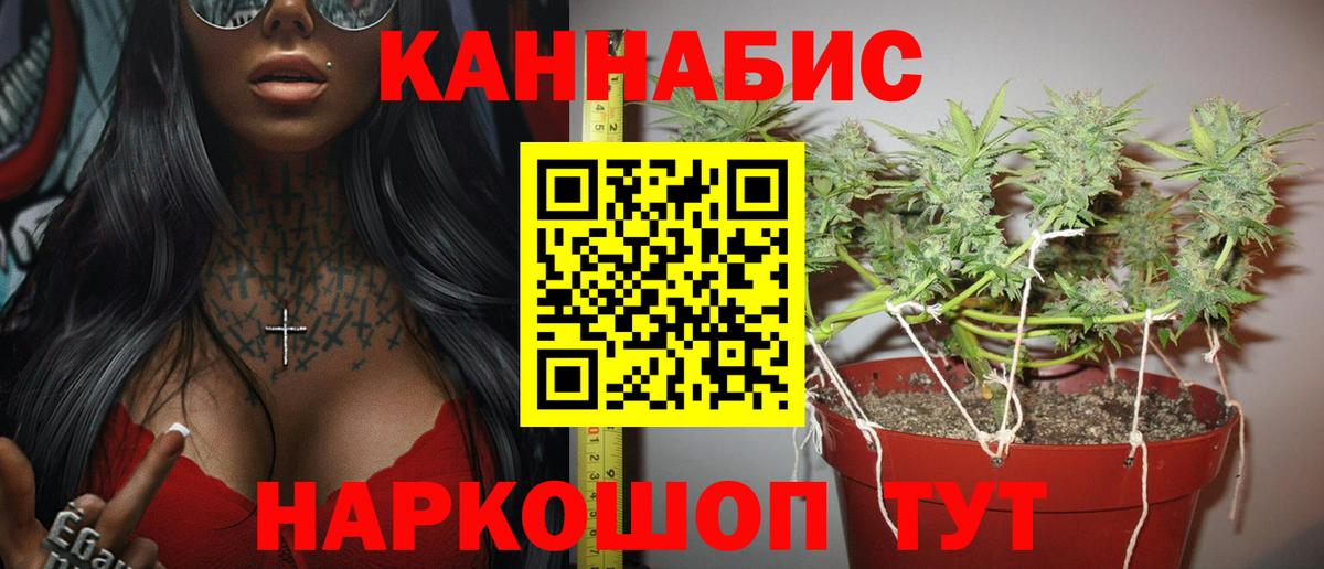 Строитель  Бошки Шишки Amnesia  Шишки марихуана SATIVA & INDICA  Бошки Шишки план  Вход с VPN  Марихуана конопля 